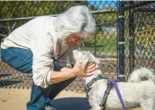  ?? ?? Donna Leonard, vice president of Reach Out Rescue & Resources, reunites with Winney during the gathering.