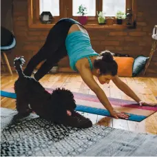  ?? ISTOCK ?? Doing yoga at home is a way to keep up on the practice — even with your pet — when not in a class.