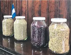  ?? FOTO: EL HERALDO ?? Estas son muestras de las semillas mejoradas de maíz, frijol y sorgo que tiene Dicta para distribuir a través del bono.