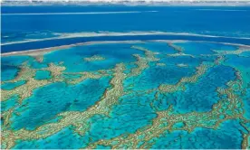  ??  ?? The president of the Australian Academy of Science has warned against the selective use of research to question whether the Great Barrier Reef is being degraded by pollution from farm runoff. Photograph: Alamy