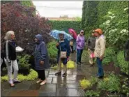  ??  ?? Guests are seen looking through one of the backyards featured in the 18th annual Hidden Garden Tour on Thursday.