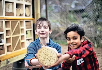  ??  ?? Rund 20 Kinder waren an dem Projekt beteiligt und haben geholfen, ein Bienenhote­l zu bauen. Auch (von links) Abdul (12) und Azaan (10) hatten Spaß.