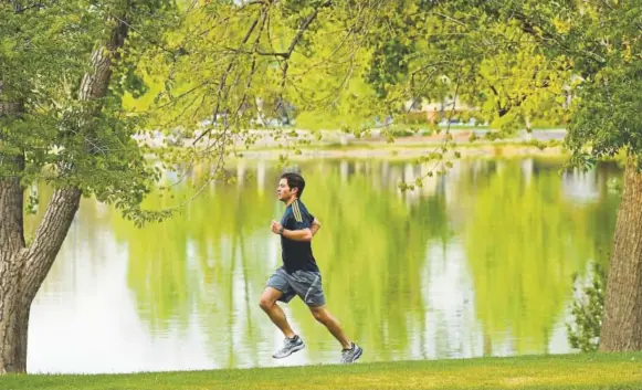  ?? RJ Sangosti, Denver Post file ?? Mark Goldfarb runs in Washington Park in Denver.