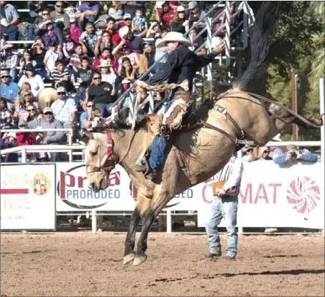  ?? IVP FILE PHOTO ?? The absence of fans and cancellati­on of many activities associated with the Cattle Call Rodeo is expected to result in a big hit to the local economy.