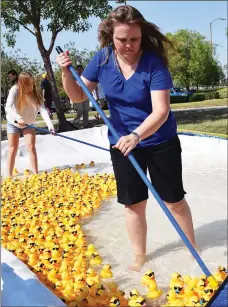  ?? Ryan Painter/The Signal ?? Connie Christense­n, and her daughter Abby, corral the participat­ing rubber ducks to the starting line at the Rubber Ducky Festival on Saturday.