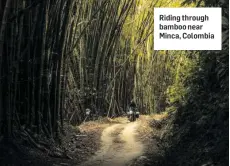  ??  ?? Riding through bamboo near Minca, Colombia
