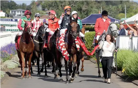  ?? TRISH DUNELL ?? Michael Walker and his mount Sherwood Forest receive the plaudits for winning Saturday’s New Zealand Derby at Ellerslie.