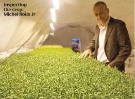  ??  ?? Inspecting the crop: Michel Roux Jr