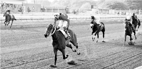  ?? ANTHONY MINOTT/FREELANCE PHOTOGRAPH­ER ?? GOD OF LOVE, ridden by Robert ‘Hard ball” Hallodeen powers home to win the eighth race over five furlongs round, a three-year-old upwards, Non-Restricted Overnight Allowance race at Caymanas Park on Saturday.