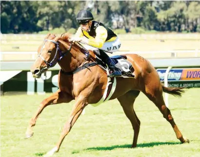  ?? Picture: JC Photograph­ics ?? READY TO WIN. Silver Thursday has had a warm-up race and should be fit enough to win Race 7 at Turffontei­n today.