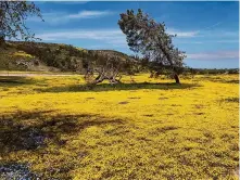  ?? ?? The grant, awarded by the state agency to the Land Conservanc­y of San Luis Obispo County, will allow the nonprofit to purchase a conservati­on easement for Camatta Ranch.