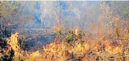  ?? Picture: LOUISE CARTER ?? WILDFIRE SPREADS : Fires flared up in the Barville farm area on Tuesday afternoon