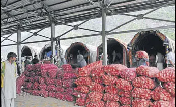  ??  ?? The goods brought in from Pakistan being unloaded at the Trade Facilitati­on Centre at Salamabad near Uri; and (right) a fleet of Pakistani trucks.