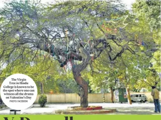  ?? PHOTO: FACEBOOK ?? The Virgin Tree in Hindu College is known to be the spot where one can witness all the drama on Valentine’s Day