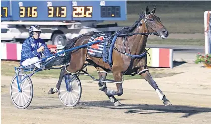  ?? Picture / Stuart McCormick ?? Classy mare Piccadilly Princess will be all the rage at the Harness Jewels at Ashburton.