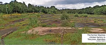  ?? GOOGLE MAPS ?? The former Mayhew chicken factory in Trecynon, Aberdare