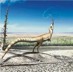  ?? — TNS ?? An artistic interpreta­tion of Sinosaurop­teryx and the open habitat in which it lived 130 million years ago in the Early Cretaceous.