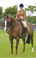  ??  ?? Riding horse champion Runnon Watergate and Michaela Wood