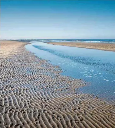  ?? Foto: Shuttersto­ck ?? Das Wattenmeer ist Lebensraum für mehrere tausend Tier- und Pflanzenar­ten und leistet damit einen wichtigen Beitrag zur Biodiversi­tät.