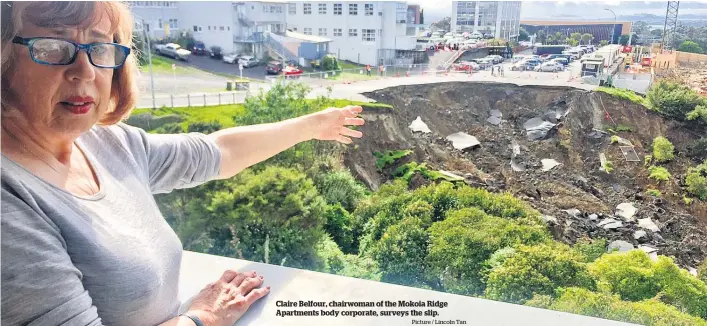  ?? Picture / Lincoln Tan ?? Claire Belfour, chairwoman of the Mokoia Ridge Apartments body corporate, surveys the slip.