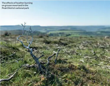  ??  ?? The effects of heather burning on grouse moorland in the Peak District national park