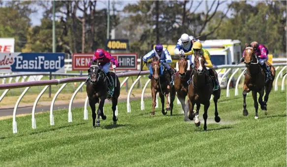  ?? Photo: Kevin Farmer ?? TOP RUN: Say Haya finished strongly for jockey Baylee Nothdurft (second, from right) to win race one at Clifford Park yesterday.