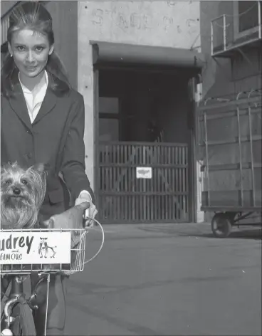  ?? PICTURE: GETTY IMAGES ?? Audrey Hepburn was an enthusiast­ic cyclist who in her youth used a bike to deliver resistance leaflets in her hometown of Arnhem during the Second World War