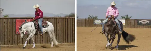  ??  ?? LEFT: You can’t force a horse to do a job. Be the driver that points him in the correct direction, and then let him perform. RIGHT: A harder pull results in a more resistant horse. Begin with a “please” cue, then increase pressure as necessary.