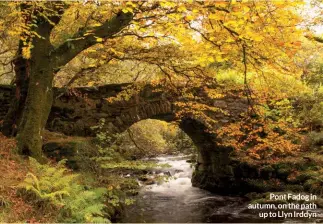  ??  ?? Pont Fadog in autumn, on the path up to Llyn Irddyn