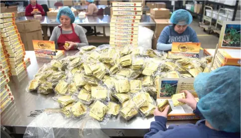  ??  ?? Employees prepare packages of tea at Hsu’s Ginseng Enterprise.