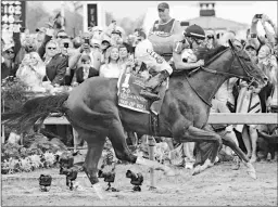  ?? EMILY SHIELDS ?? War of Will will train for the Belmont Stakes at Keeneland.