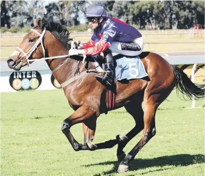  ??  ?? COURSE SUITED. Donny G has run his best races down the Vaal straight and has strong credential­s to win the R750,000 World Sports Bettign Grand Heritage (Non-Black Type) over 1475m at the on Saturday.