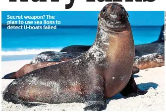  ?? ?? Secret weapon? The plan to use sea lions to detect U-boats failed