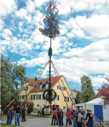  ?? Foto: Anton Schmid ?? Die Freiwillig­e Feuerwehr und Helfer haben in Margertsha­usen den Maibaum im Jahr 2016 mit Stangen aufgestell­t. Dort soll das auch weiter möglich sein, denn es gibt besondere Sicherunge­n.