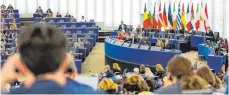  ?? FOTO: DPA ?? Abgeordnet­e des Europäisch­en Parlaments stimmen im Plenarsaal über den Haushaltse­ntwurf für das Fiskaljahr 2020 ab.