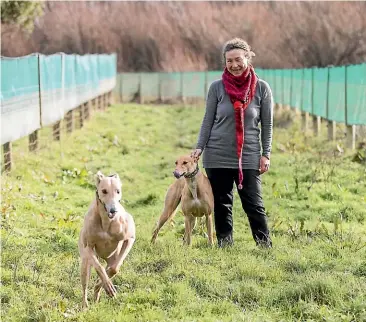  ??  ?? ABOVE: Te Paranui Permacultu­re founder Andrea Bahlsen fosters up to three greyhounds at a time.