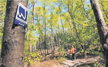  ?? FOTO: NATURPARK SCHWALM-NETTE ?? Wer keine Abzweigung verpassen will, muss nach den Plaketten mit der Markierung W2 an den Bäumen Ausschau halten. Der Wanderweg im Schwalm-Nette-Gebiet führt zunächst durch den Grenzwald.