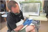  ?? PROVIDED ?? OKC Zoo carnivore curator Tyler Boyd bottle feeds a clouded leopard kitten.