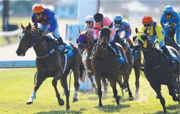  ?? Picture: JUSTIN BRIERTY ?? TOO GOOD: Windmill Lane ridden by Kerry Rockett crosses the finish line first in the Johnston River Open Handicap at the 2018 Innisfail Cup meet.