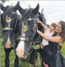  ?? FM4398519 ?? Aisha Allen, five, and mum Becci Robinson meet shire horses Alfie and Arthur