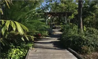 ?? PHOTOS BY KATHY RENWALD, SPECIAL TO THE HAMILTON SPECTATOR ?? The Naples Botanical Garden is a quiet retreat in Southwest Florida. There are eight major garden themes in addition to trails into natural areas.