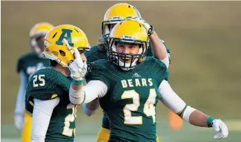  ?? Topher Seguin/Edmonton Journal ?? Ryan Migadel and the Alberta Golden Bears get a chance at redemption against the University of Calgary Dinos Saturday.
