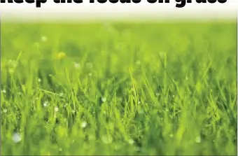  ?? Due to the extent of grass shortages on farms, farmers are required to grow and conserve more grass. ??