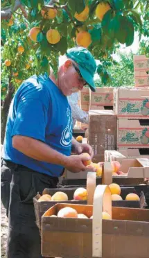  ?? JONATHAN NICHOLLS GETTY IMAGES ?? Les prix du marché canadien pourraient être affectés.