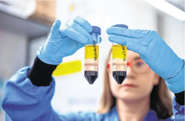  ?? PHOTO: JOHN CAIRNS/ UNIVERSITY OF OXFORD/PA WIRE ?? Preparing for battle:
A University of Oxford researcher works on the vaccine developed with AstraZenec­a .