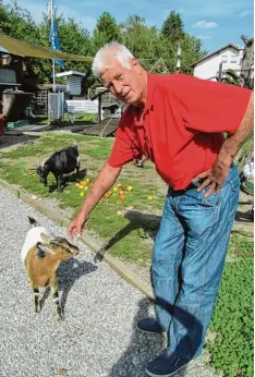  ?? Fotos: Sabine Schaa Schilbach ?? Peter Walter in seinem Kleintier Zoo mit seinem Liebling, der Ziege Lilifee. In seinem Garten hat sich der Rentner einen Kindheitst­raum erfüllt.