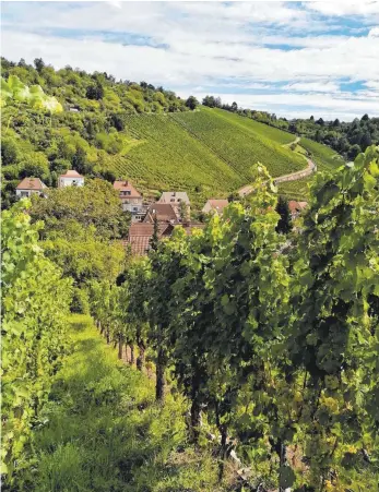  ?? FOTOS: BRIGITTE GEISELHART/DPA (2) ?? Der Stuttgarte­r Weinwander­weg ist ein Rundkurs mit einer Länge von rund elf Kilometern.