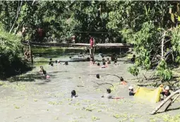  ??  ?? COOL JOB – No, they’re not taking a dip in the waters of this tributary to beat the heat Friday afternoon in Barangay Takepan, Pikit, North Cotabato. These enterprisi­ng men thread the chest-high waters to catch freshwater fish from the swamp using...