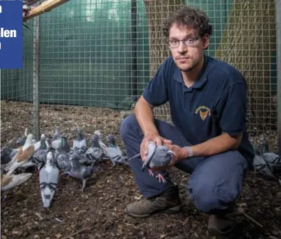  ?? FOTO BOUMEDIENE BELBACHIR ?? Medewerker Wim Vermeylen van Natuurhulp­centrum Opglabbeek herkent de problemen.