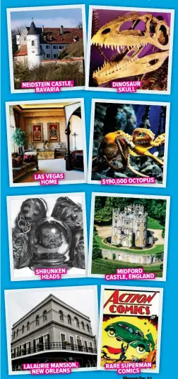  ??  ?? NEIDSTEIN CASTLE, BAVARIA DINOSAUR SKULL LAS VEGAS HOME $190,000 OCTOPUS SHRUNKEN HEADS MIDFORD CASTLE, ENGLAND LALAURIE MANSION, NEW ORLEANS RARE SUPERMAN COMICS